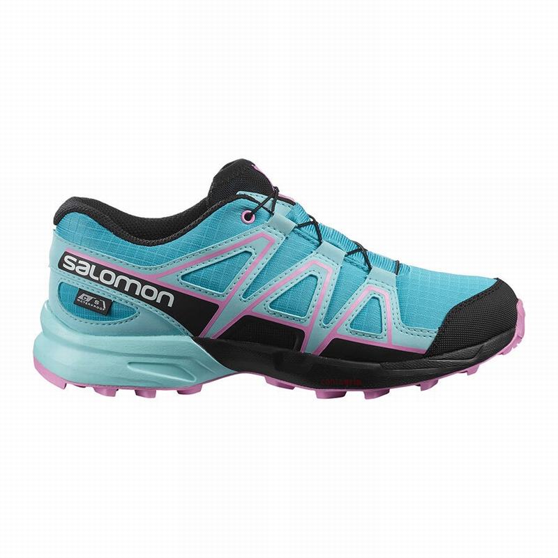 Salomon Singapore Kids Trail Running Shoes - SPEEDCROSS CLIMASALOMON™ WATERPROOF Blue/Brown Turquois